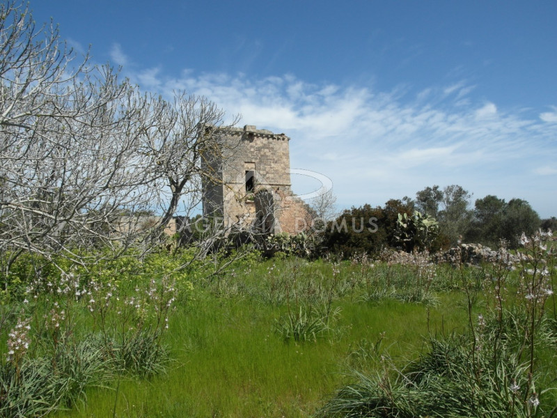 Immagine 9 di Terreno in vendita  a Racale