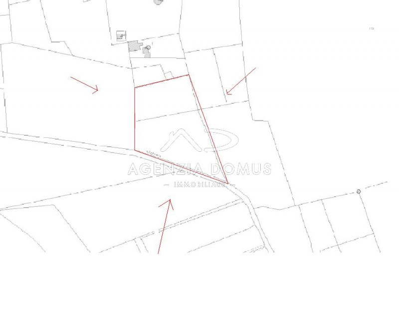 Immagine 11 di Terreno in vendita  a Racale