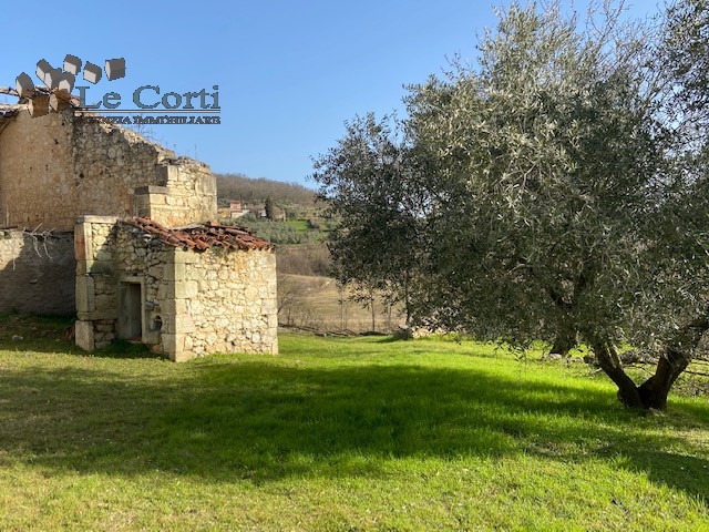 Immagine 5 di Rustico / casale in vendita  a Val Liona