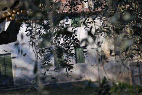 Immagine 7 di Rustico / casale in vendita  a Val Liona