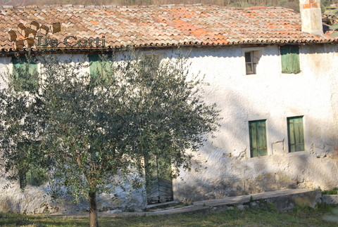 Immagine 9 di Rustico / casale in vendita  a Val Liona