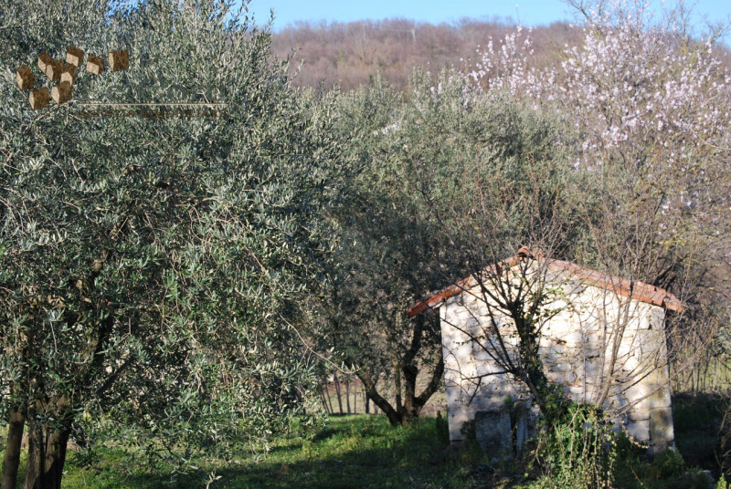 Immagine 13 di Rustico / casale in vendita  a Val Liona