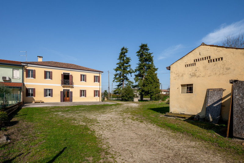 Immagine 4 di Casa bifamiliare in vendita  in Via Roma a San Pietro Viminario