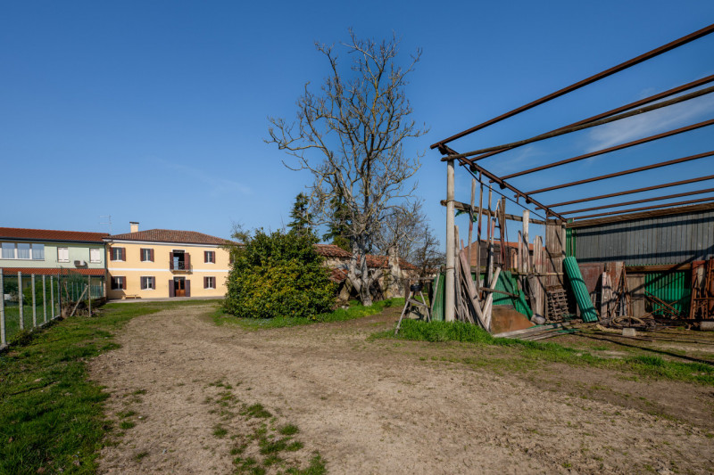Immagine 44 di Casa bifamiliare in vendita  in Via Roma a San Pietro Viminario