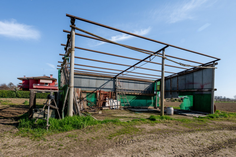 Immagine 45 di Casa bifamiliare in vendita  in Via Roma a San Pietro Viminario