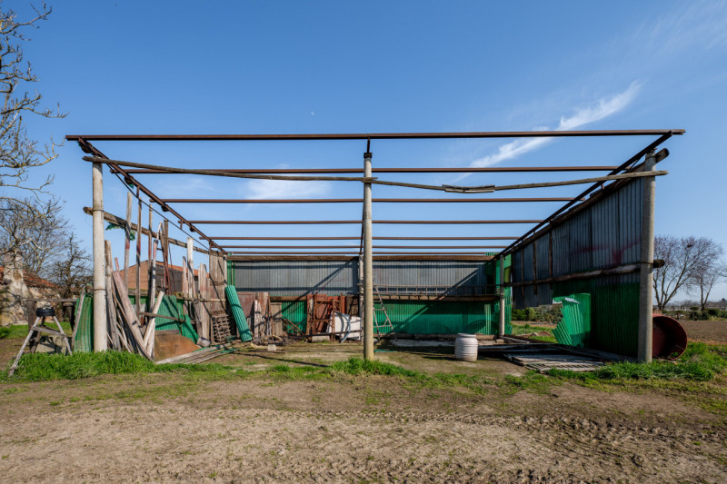 Immagine 46 di Casa bifamiliare in vendita  in Via Roma a San Pietro Viminario