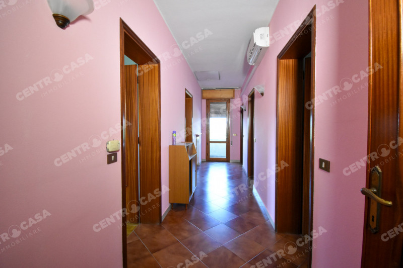 Foto annuncio 13