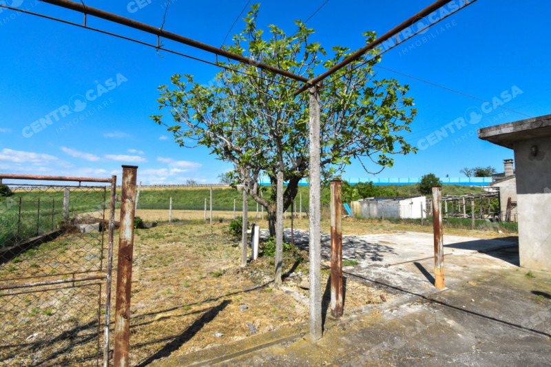 Foto annuncio 49