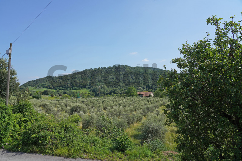 Foto annuncio 4