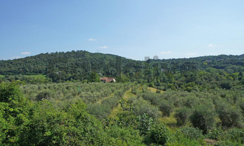 Foto annuncio 6