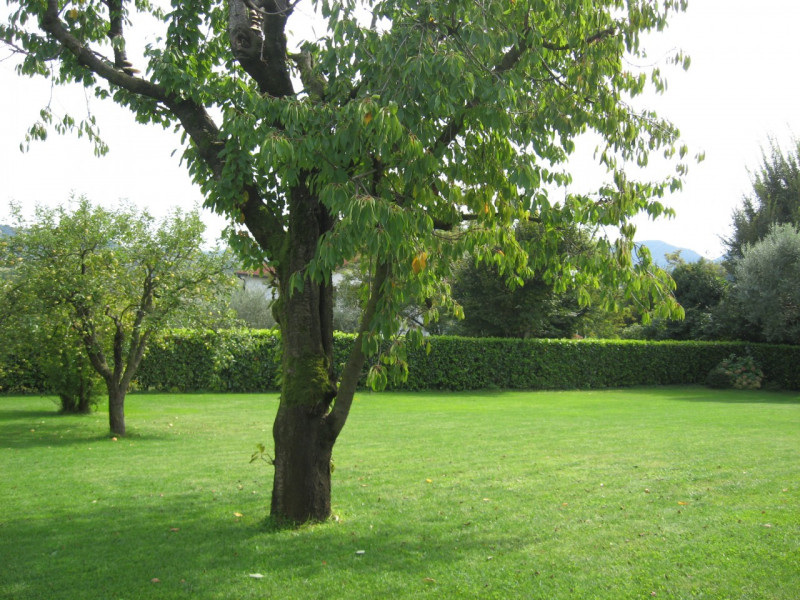 Immagine 6 di Villa in affitto  in telo, tramonte,  via pozzacale a Abano Terme