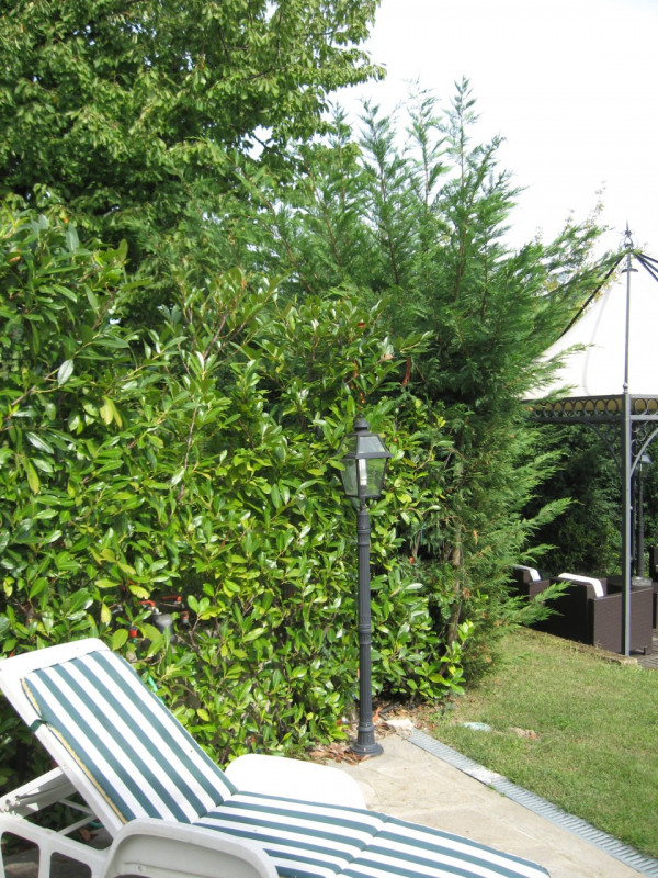 Immagine 9 di Villa in affitto  in telo, tramonte,  via pozzacale a Abano Terme