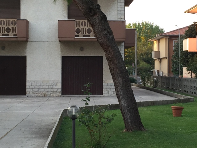 Immagine 30 di Appartamento in vendita  a Mondolfo