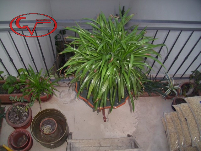 Immagine 28 di Appartamento in vendita  in Poggio Bracciolini, 46 a Montevarchi