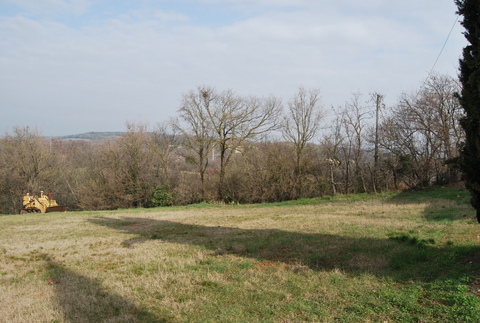 Immagine 3 di Terreno in vendita  a Val Liona