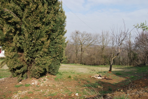 Immagine 4 di Terreno in vendita  a Val Liona