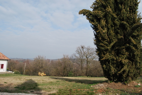 Immagine 5 di Terreno in vendita  a Val Liona