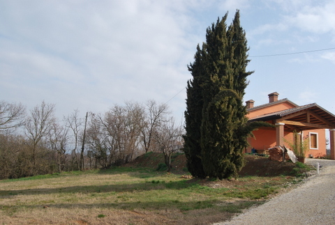 Immagine 8 di Terreno in vendita  a Val Liona