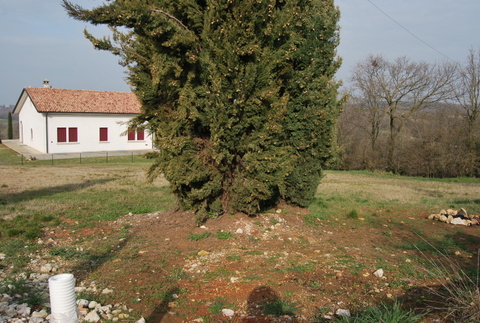 Immagine 9 di Terreno in vendita  a Val Liona