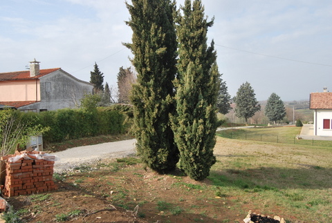 Immagine 12 di Terreno in vendita  a Val Liona