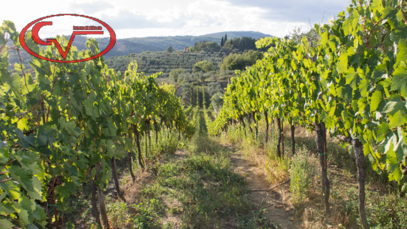 Immagine 11 di Villa in vendita  in via setteponti a Loro Ciuffenna