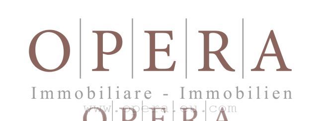 Immagine 1 di Negozio in vendita  in Corso Libertà a Bolzano