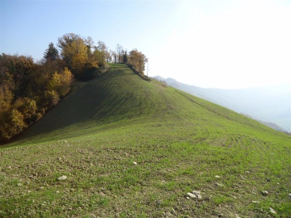 Immagine 2 di Rustico / casale in vendita  a Lunano