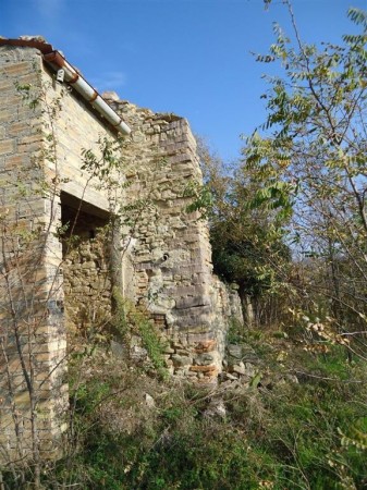 Immagine 5 di Rustico / casale in vendita  a Lunano