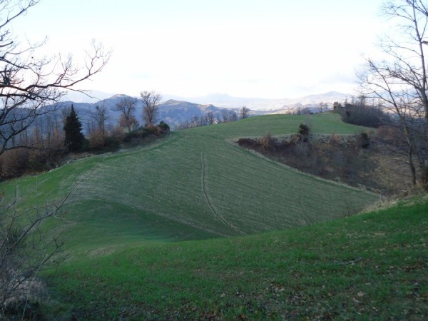 Immagine 10 di Rustico / casale in vendita  a Lunano