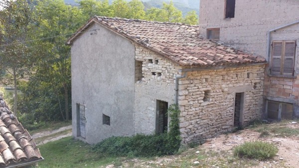 Immagine 4 di Rustico / casale in vendita  a Acqualagna