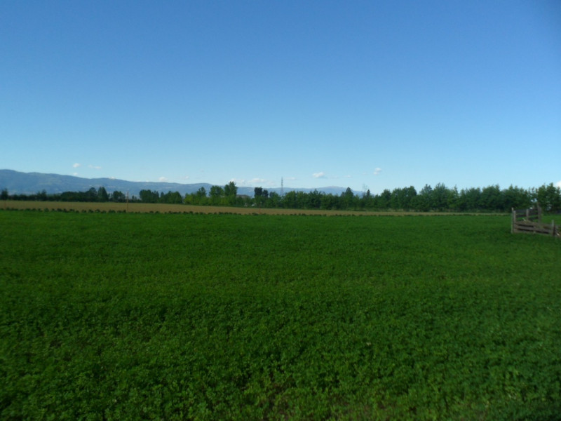 Immagine 16 di Terreno in vendita  in via lago maggiore a Vicenza