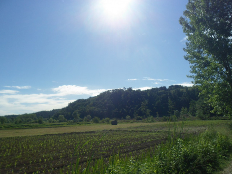 Immagine 17 di Terreno in vendita  in via lago maggiore a Vicenza