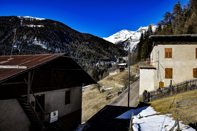 Immagine 14 di Casa indipendente in vendita  in frazione Piazzola a Rabbi