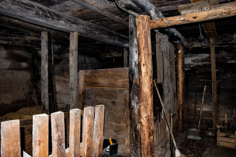 Immagine 18 di Casa indipendente in vendita  in frazione Piazzola a Rabbi