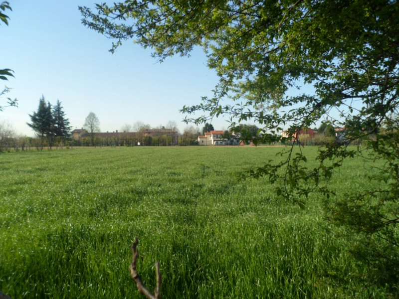Immagine 13 di Terreno in vendita  in via polveriera a Vicenza