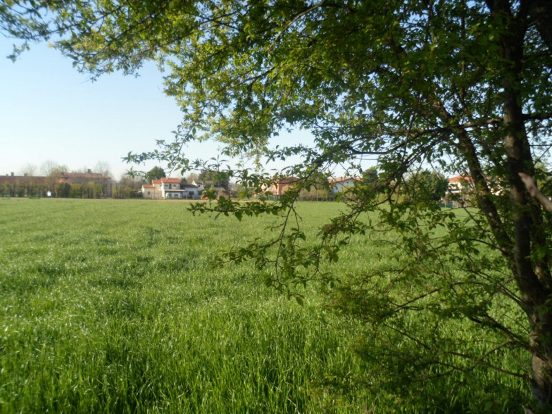 Immagine 15 di Terreno in vendita  in via polveriera a Vicenza
