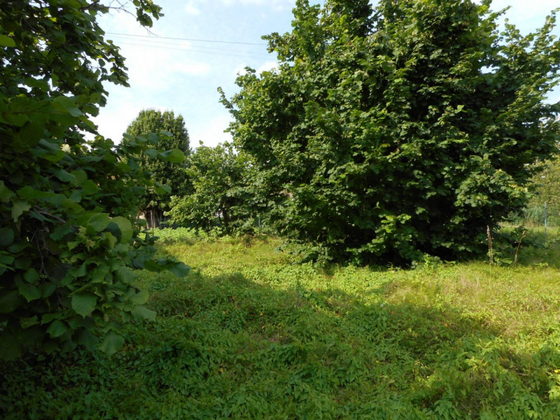 Immagine 3 di Casa indipendente in vendita  in via carlesse a Dueville
