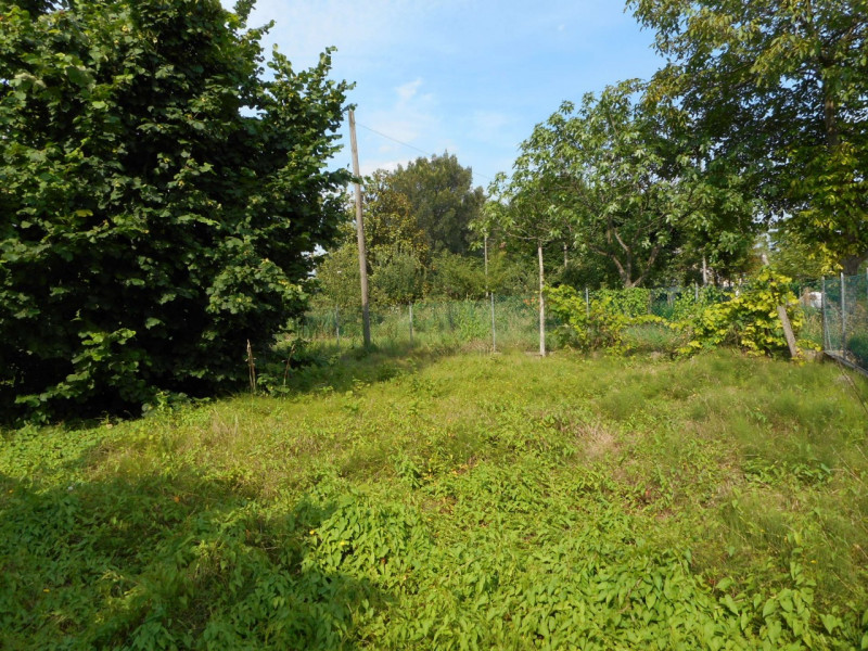 Immagine 4 di Casa indipendente in vendita  in via carlesse a Dueville