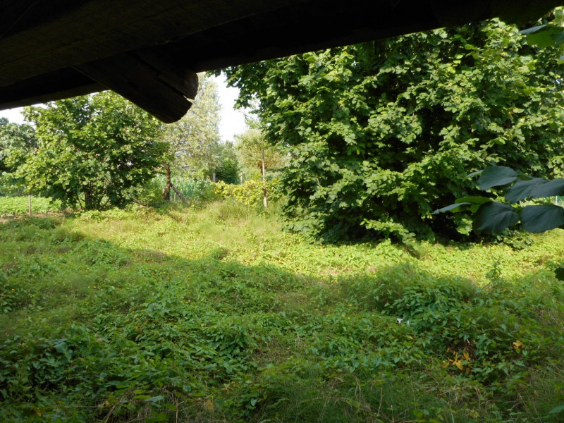 Immagine 6 di Casa indipendente in vendita  in via carlesse a Dueville