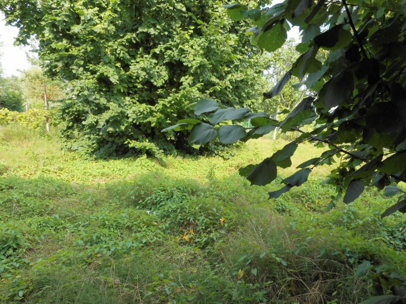 Immagine 7 di Casa indipendente in vendita  in via carlesse a Dueville