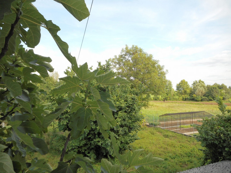 Immagine 10 di Casa indipendente in vendita  in via carlesse a Dueville