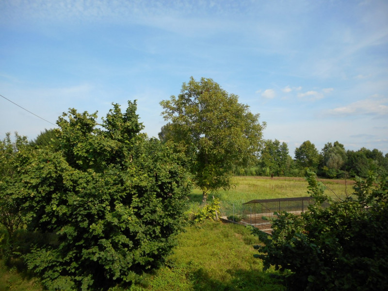 Immagine 17 di Casa indipendente in vendita  in via carlesse a Dueville