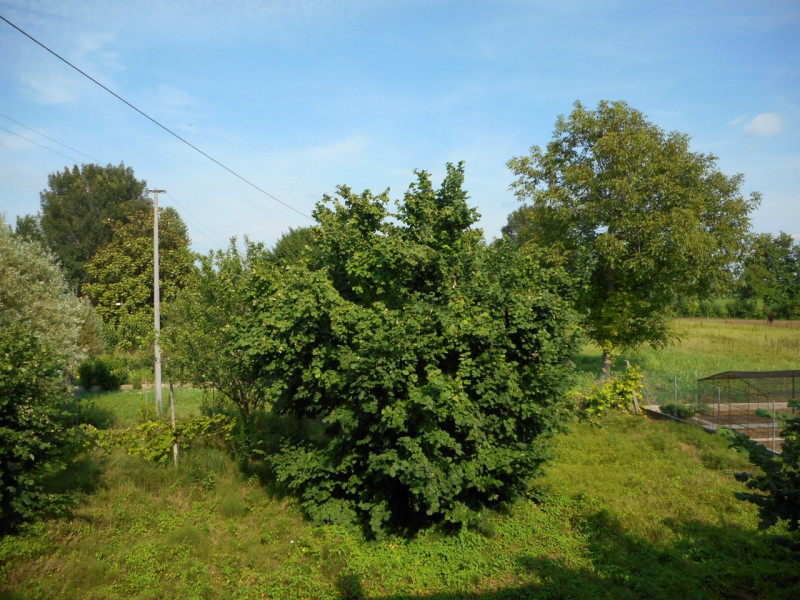Immagine 18 di Casa indipendente in vendita  in via carlesse a Dueville