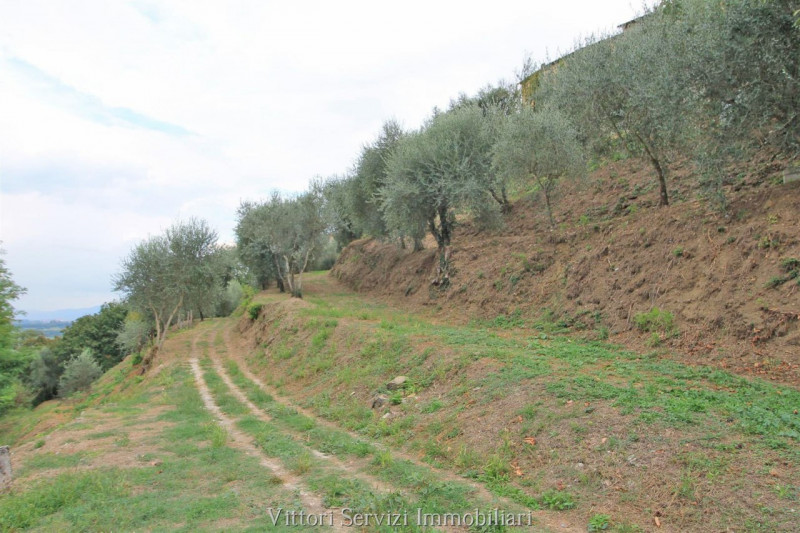 Immagine 25 di Casa bifamiliare in vendita  in via Guerazzi a Sinalunga