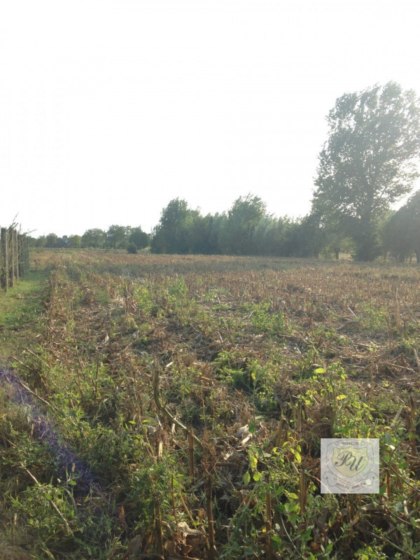Immagine 7 di Casa bifamiliare in vendita  in Via bovoline a Megliadino San Vitale