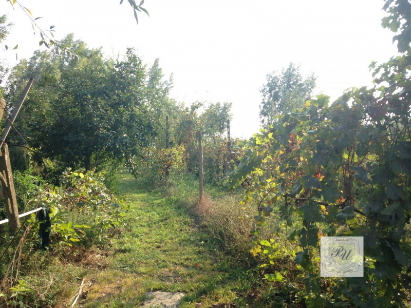 Immagine 8 di Casa bifamiliare in vendita  in Via bovoline a Megliadino San Vitale