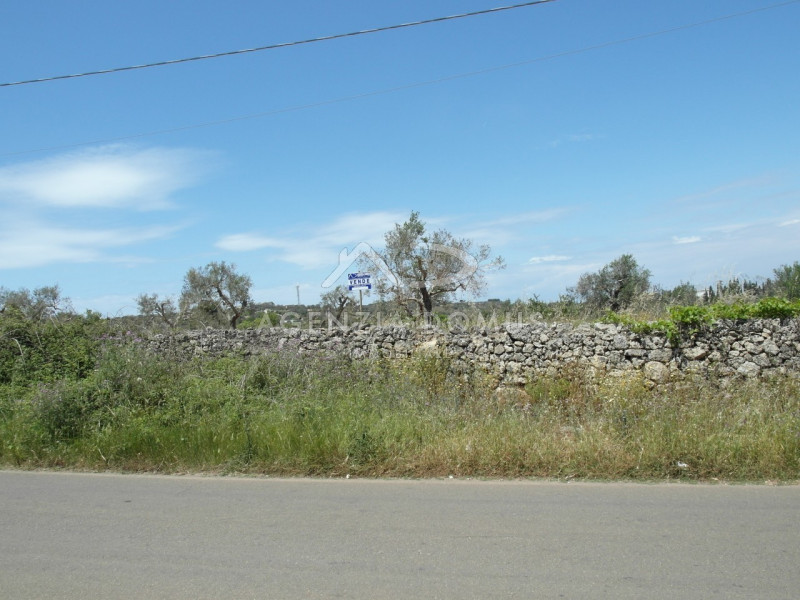 Immagine 2 di Terreno in vendita  in Località Argillari a Racale
