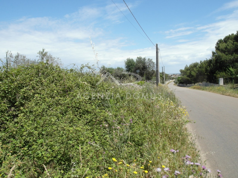 Immagine 4 di Terreno in vendita  in Località Argillari a Racale