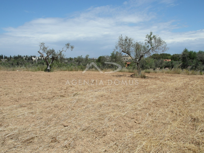 Immagine 5 di Terreno in vendita  in Località Argillari a Racale