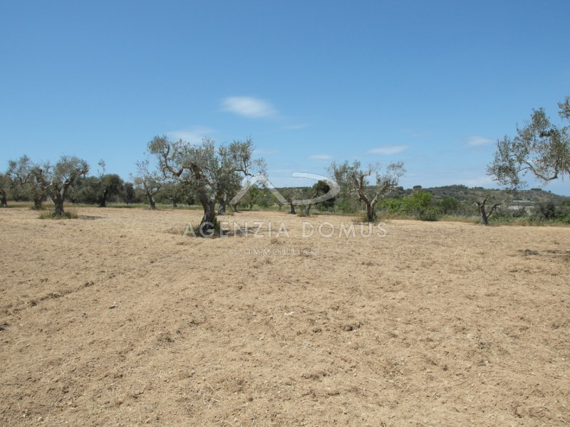 Immagine 6 di Terreno in vendita  in Località Argillari a Racale